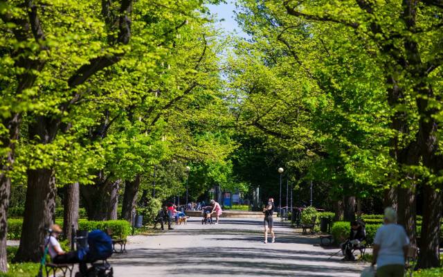 Parki w Warszawie: mapa i lista miejsc, w których można pospacerować w stolicy. Tu schronisz się przed letnimi upałami