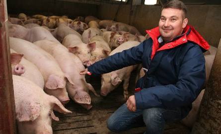 Dwa tysiące sztuk świń rocznie hodowanych jest w gospodarstwie. Hodowane są najnowocześniejszymi metodami.
