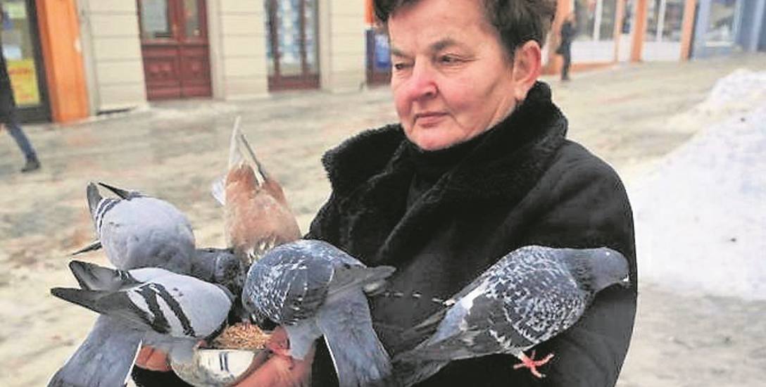 Eleonora Szymkowiak, radna Zielonej Góry, przez zimę dokarmiła gołębie siedmioma workami pszenicy. I jakoś się ich nie boi...