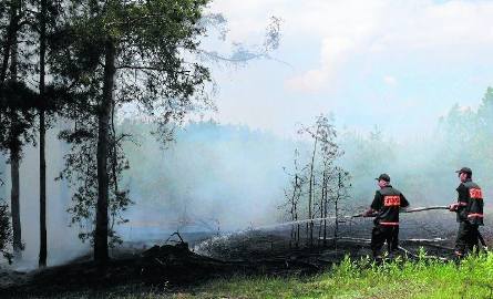 Potężny pożar lasu w gminie Radomyśl nad Sanem