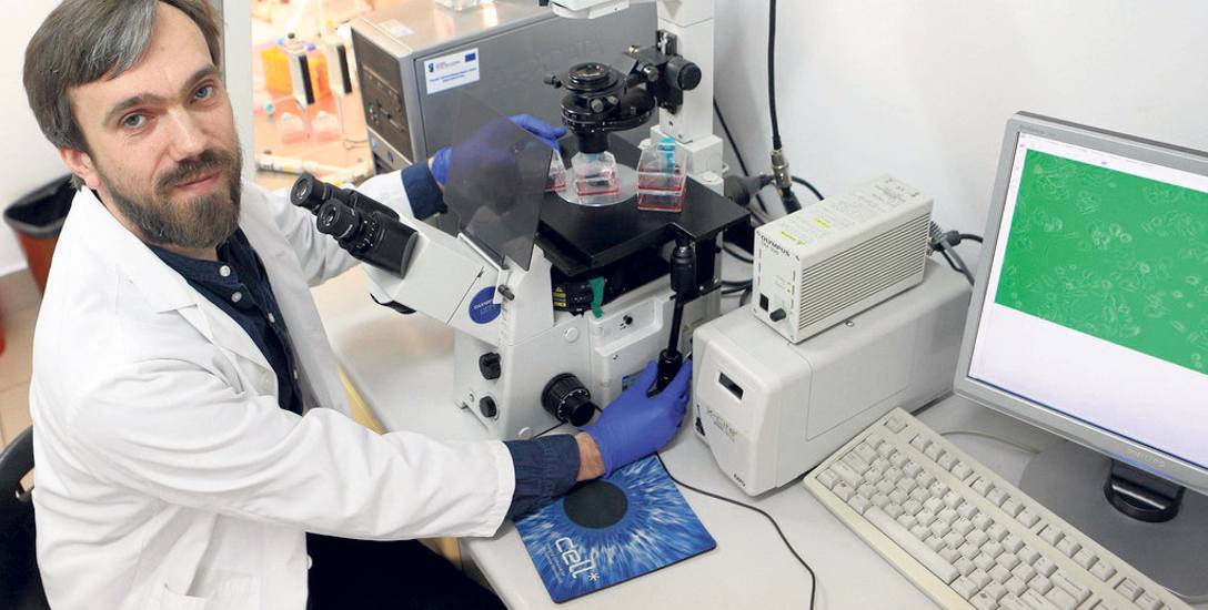 Naukowcy z Uniwersytetu Rzeszowskiego badają komórki rakowe