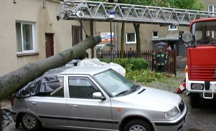 Żeby uwolnić zniszczone samochody, strażacy musieli podnieść konar drzewa.