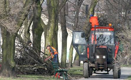 Wczoraj pracownicy Zakładu Usług Komunalnych przeprowadzali podcinkę drzew na ulicy Struga w Radomiu.