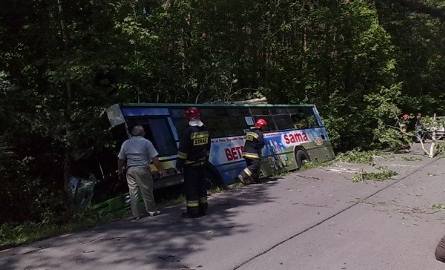 O włos od tragedii! Autobus zjechał na pobocze i wbił się w drzewa! Kierowca chciał ominąć psa (zdjęcia)
