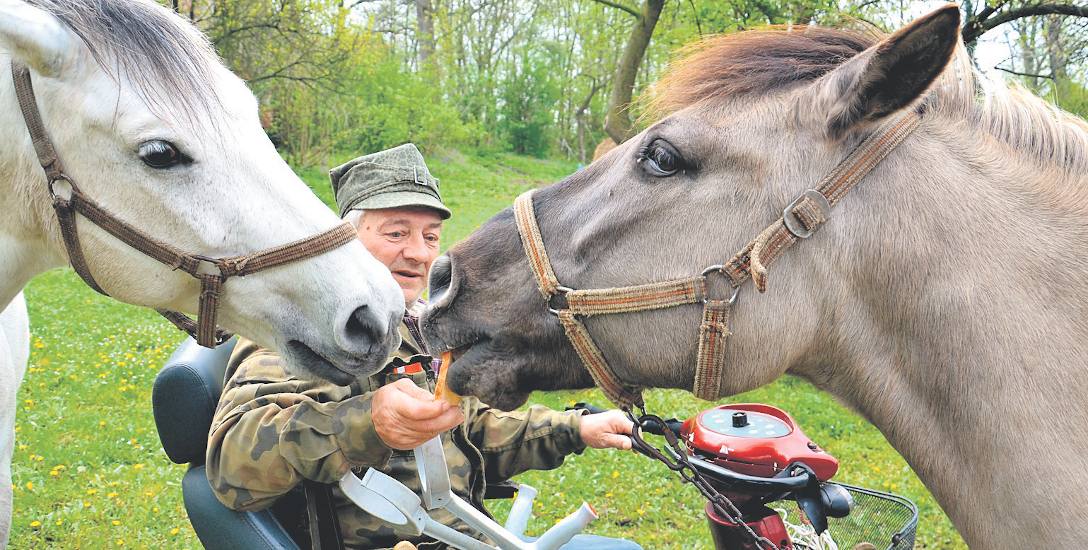Niepełnosprawny Lech Wierzbowski konie kocha nad życie