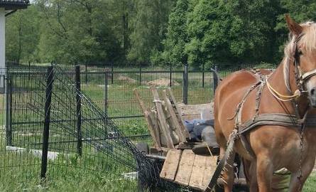 Kiedy na miejscu zjawili się policjanci, konie wjechały wozem w ogrodzenie