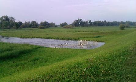 Zdjęcie z okolic Kosarzyna. Mała rzeka wpływająca do Odry. Gdyby nie zapora wodna, zalało by całość.