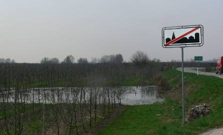 Zastoisko wodne w Ciszycy wiosną ubiegłego roku.
