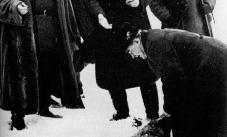 Herman Goering (pierwszy z lewej) ogląda z prezydentem Ignacym Mościckim upolowanego wilka – luty 1937 roku