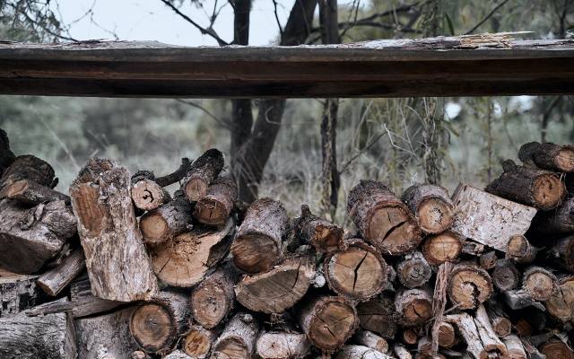 Nie pal mokrym drewnem. To szkodliwe nie tylko dla zdrowia, ale też dla środowiska. Jakie drewno jest najlepsze?