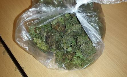 Łącznie policjanci przejęli 800 gramów suszu zidentyfikowanego jako marihuana