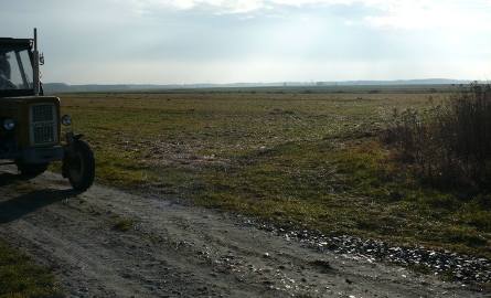 W Kurzelowie ma powstać siedem wiatraków w okolicach starego wysypiska śmieci za wsią. Elektrownia wiatrowa będzie się ciągnąć aż do Łachowa.