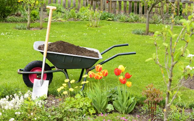Kwietniowe prace w ogrodzie. Co siać i sadzić? Jak zadbać o trawnik i co jeszcze trzeba zrobić? Lista prac ogrodowych na wiosnę