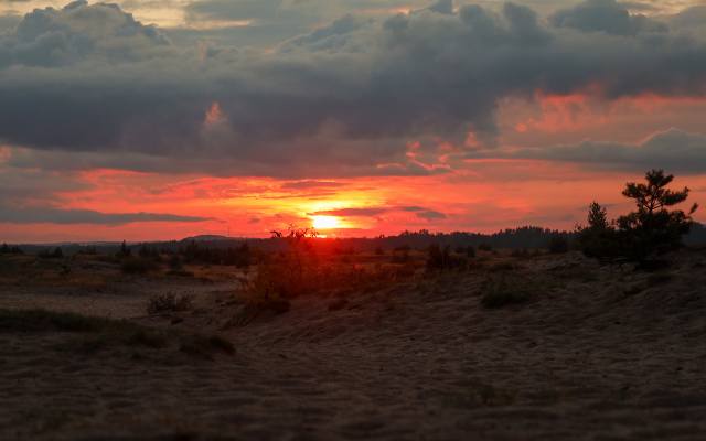 Zachód słońca na Pustyni Błędowskiej wygląda spektakularnie. To idealne miejsce na wieczorny wypad! Zobacz zdjęcia 