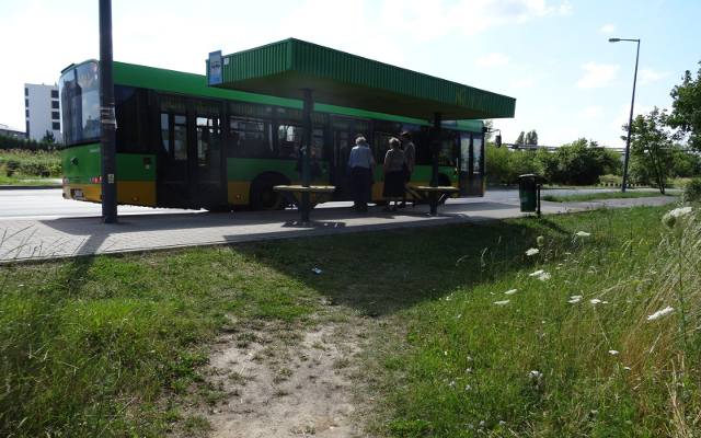 Poznań: Na Strzeszynie i Podolanach powstaną pętle autobusowe w ramach węzła Druskienicka