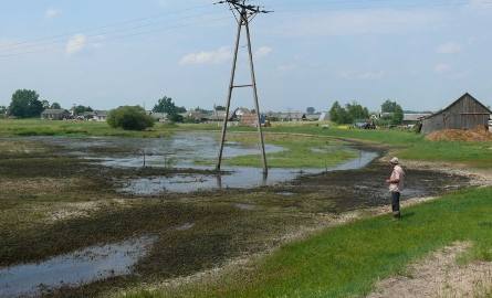 Woda z rzeki Czarnej Włoszczowskiej wylała na łąki w Komornikach.