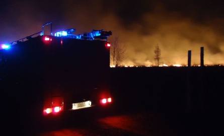 To największy pożar tej wiosny w Świętokrzyskiem. Spłonęło ponad 25 hektarów lasu 
