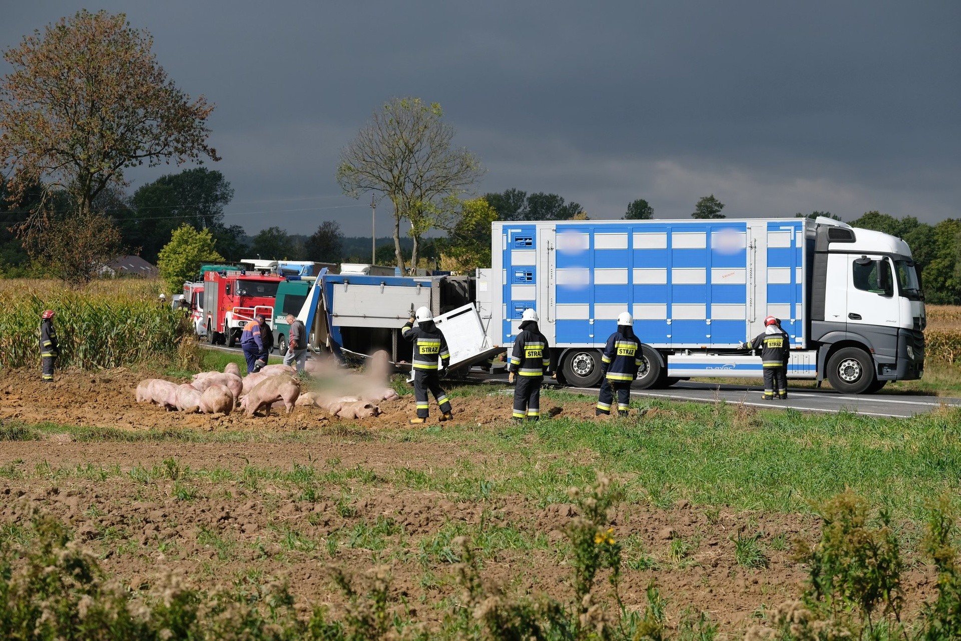 Wypadek ciężarówki na drodze krajowej nr 77 w Dębnie koło