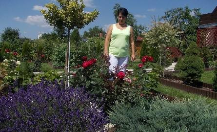Małgorzata Kozłowska, której działka wygrała na terenie Tarnobrzega zajmuje się uprawą kwiatów.