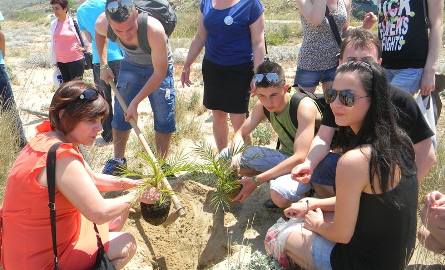 Iłżanie zasadzili drzewa na wybrzeżu Morza Kreteńskiego