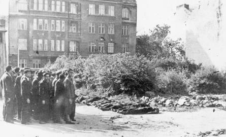 Na odwrocie tego zdjęcia napisano: "Nieznane miejsce zbrodni, dokonanej we wrześniu 1939 r., prawdopodobnie w Bydgoszczy"