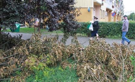 Odłamanych gałęzi nie sprzątnięto także z ulicy Śląskiej.