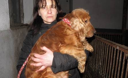Pani Dorota Strychalska - wzięła psy do domu tymczasowego, szuka im stałej opieki