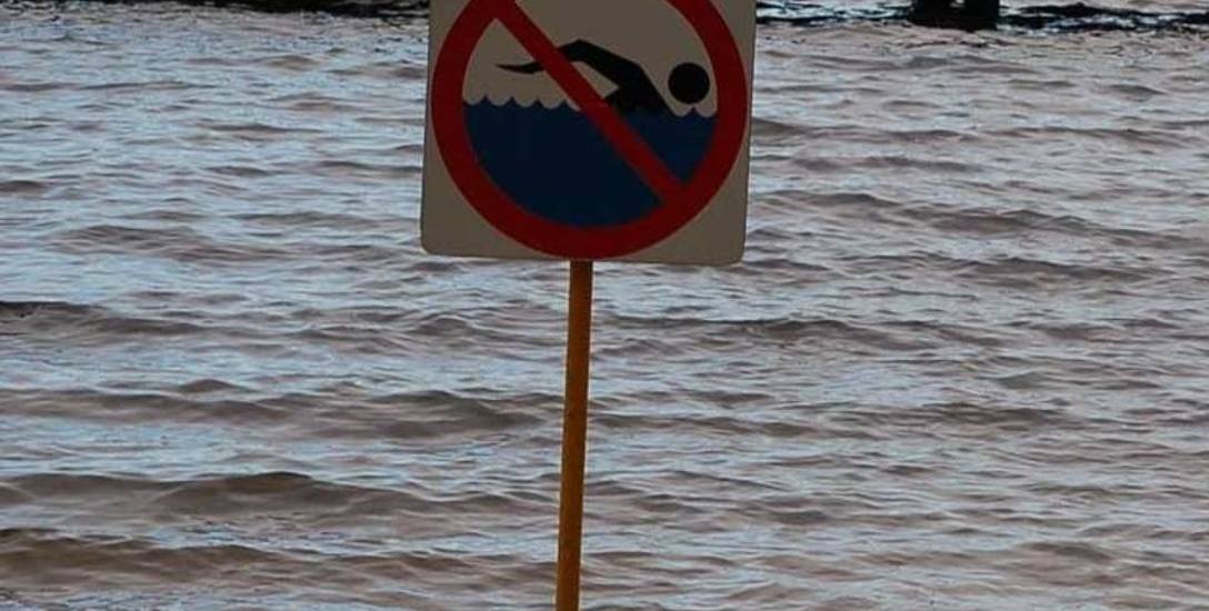 Sinice w jeziorze Drawsko. Zakaz kąpieli na dwóch kąpieliskach