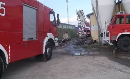 Pożar w Wojnowicach. Płonęła chlewnia, padły świnie  