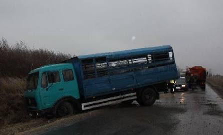 Ciężarówka wioząca trzodę chlewną wpadła do rowu na drodze powiatowej w gminie Sędziszów.