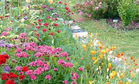 W takim ogrodzie nie może zabraknąć ziół i roślin kwitnących:  naparstnicy, lilii, czosnku ozdobnego, dzwonków, maków