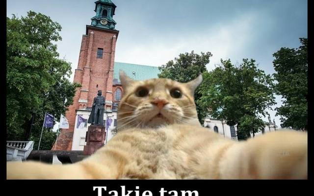 Śmieszki heheszki! Oto najlepsze memy o miastach w Wielkopolsce. Internauci śmieją się z Kalisza, Ostrowa, Poznania i Gniezna. Zobacz!