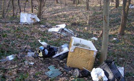 Krajobraz w lesie pod Telegrafem psują śmieci, zwłaszcza wielkogabarytowe. Znaleźć tu można nawet sprzęt AGD.