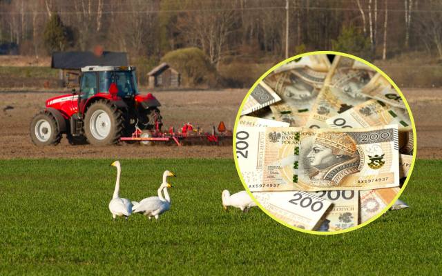 Tyle pieniędzy z dopłat bezpośrednich dostanie w 2023 gospodarstwo rolne. Harmonogram naborów PS WPR