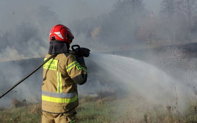 Pożar stolarni w miejscowości Zakrzewo w Wielkopolsce. Spłonęła cała hala