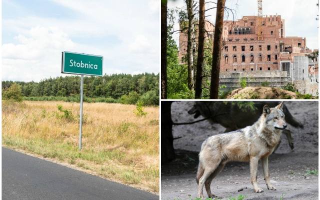 Zamek w Stobnicy: Sprawie usypiania wilków w Stacji Doświadczalnej przyjrzy się Uniwersytet Przyrodniczy w Poznaniu