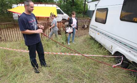 Właściciel cyrku Michał Szafranek wyjaśnia, że psy były uwiązane na trzymetrowych sznurkach.