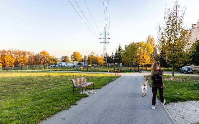 TOP 10 wybiegów dla psów w Krakowie według Google. Tu możesz puścić psa bez smyczy. Za te miejsca Twój pupil cię pokocha