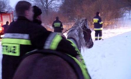 Niecodzienna akcja strażaków. W Nowym Dworze koń wpadł pod lód!