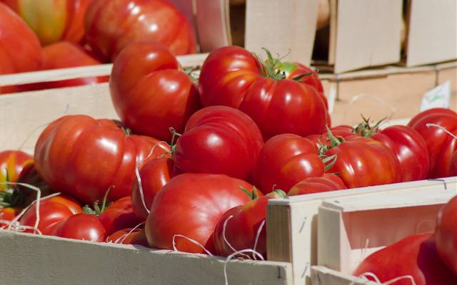 Przetwory z pomidorów: przeciery, ketchupy, sosy, pomidory suszone w oliwie