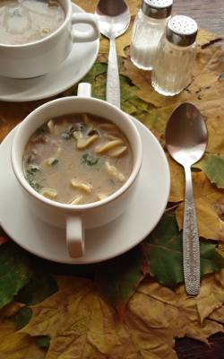 Aromatyczna zupa z suszonych grzybów.