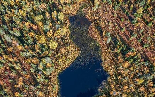 Neitokainen, czyli niezwykłe jezioro w Finlandii. Czemu zawdzięcza swój niesamowity kształt?