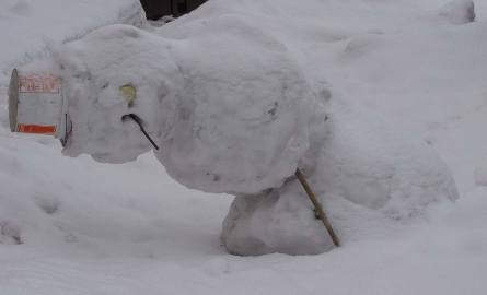 Ten bałwan z Sulechowa ma już dość zimy (zdjęcia Czytelnika)