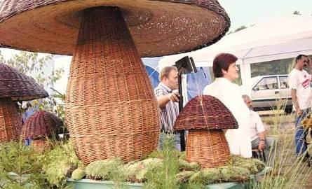 Te wiklinowe grzyby to dzieło rzemieślników z Rudnika.