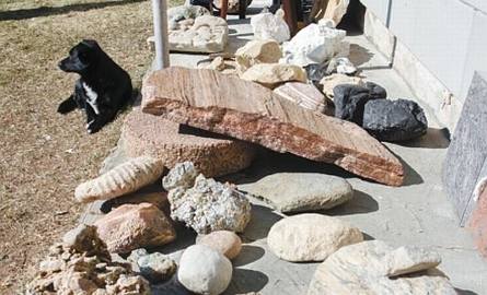 Większe bryły kamienne ze śladami  prehistorycznych stworzeń i roślin Adam Borowski trzyma pod wiatą przed domem