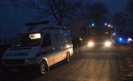 Wypadek pod Kruszwicą. Ucierpieli 33-letnia kobieta i 7-letnie dziecko