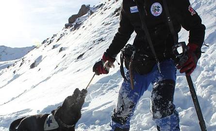 Raby, bieszczadzki pies lawinowy, podczas szkolenia w Alpach wraz ze swoim opiekunem.