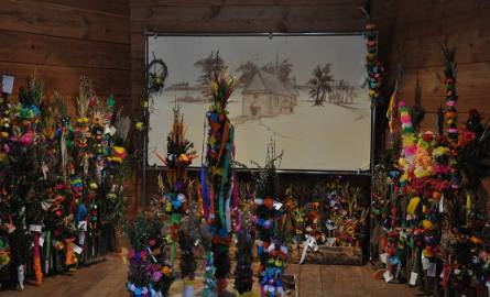 Wystawa najpiękniejszych palm w skansenie w Radomiu (zdjęcia)