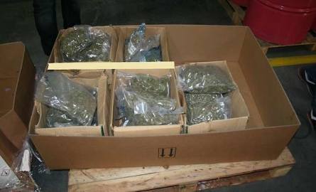 Policja przechwyciła przesyłkę z 10 kilogramami narkotyków o wartości 300 tys. zł [ZDJĘCIA]