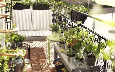 Nawet na małym balkonie można wygospodarować miejsce na własne warzywa czy zioła!